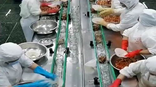 罐头水果 健康与否，解码食品厂的“魔法”加工过程
