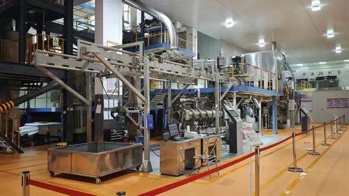 从代工厂到品牌赋能者 揭秘宠物食品界的隐形冠军