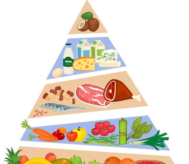 《乳制品与均衡饮食》 开启健康生活的营养密码