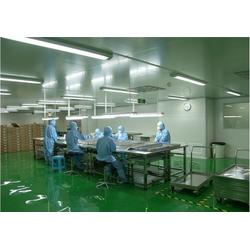 道滘伟一食品厂千级无尘车间净化室 守护食品安全的洁净堡垒