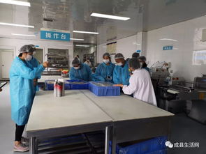 陇南生活网团队走进成县优点食品厂，探索乳制品背后的匠心与创新